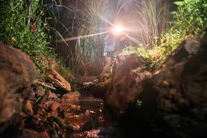 BIB: 
                            <button type="button" onclick="openModal(26415836)" class="btn btn-primary btn-sm float-right btn-popup" data-toggle="modal" data-target=".modal-high-quality">
                        <i class="fas fa-shopping-cart"></i> Add to Cart
                    </button>
                                            <button type="button" onclick="isThisMe(26415836, true)" class="btn btn-success btn-sm float-right btn-popup btn-isme hidden" data-toggle="tooltip" data-placement="bottom" title="นี่คือรูปของคุณใช่ไหม คลิกที่นี่เพื่อเอาเข้าอัลบั้ม">
                        <i class="fas fa-plus"></i> Add to album
                    </button>
                    <button type="button" onclick="isThisMe(26415836, false)" class="btn btn-warning btn-sm float-right btn-popup btn-isnotme hidden">
                        <i class="fas fa-ban"></i> Remove from album
                    </button>